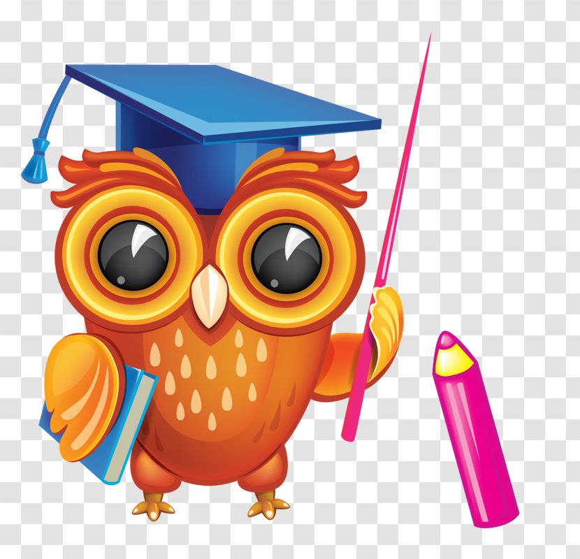 Diploma Graduation Ceremony Clip Art - School - Cute Owl Transparent PNG