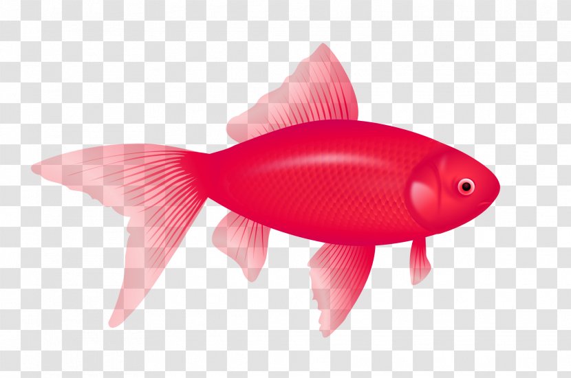 Fish Desktop Wallpaper Clip Art - Red - Goldfish Transparent PNG