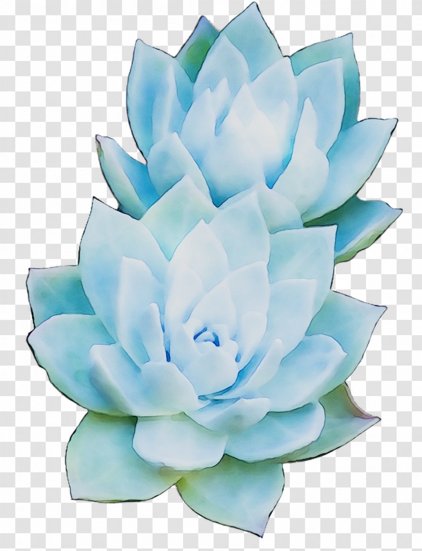 Artificial Flower Petal Cut Flowers Turquoise - Blue - White Mexican Rose Transparent PNG