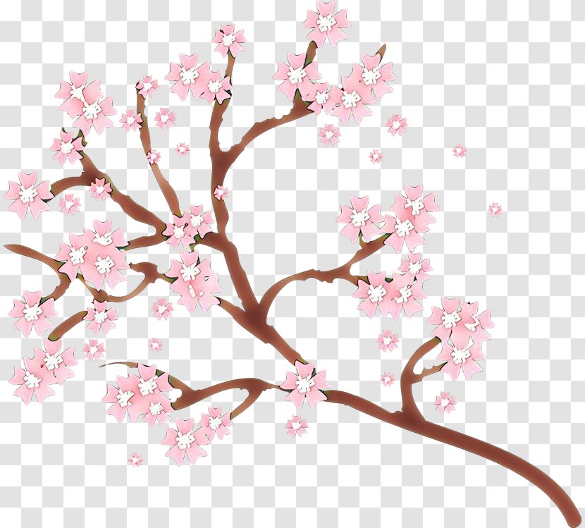 Cherry Blossom - Pink - Spring Tree Transparent PNG