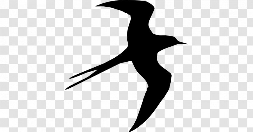 Silhouette Bird Swallow Beak Drawing Transparent PNG