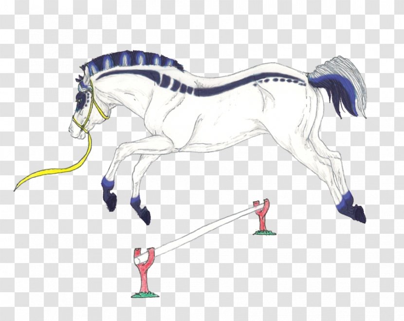 Mustang Stallion Halter Pack Animal Equestrian - Horse Supplies Transparent PNG
