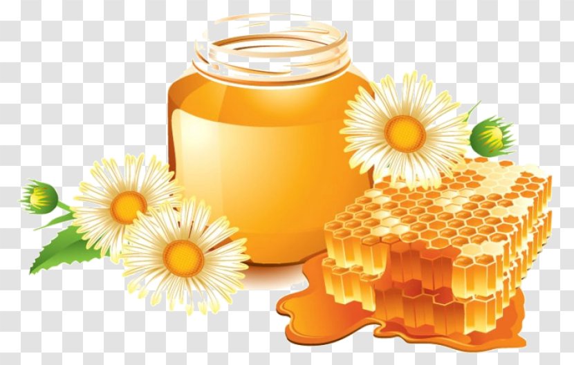 Savior Of The Honey Feast Day Atherosclerosis Beekeeping Information - Flower Transparent PNG