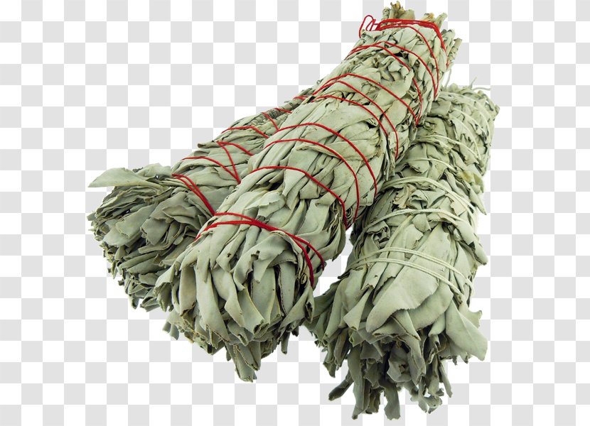 Smudging Common Sage Incense Image Video - Camouflage Transparent PNG