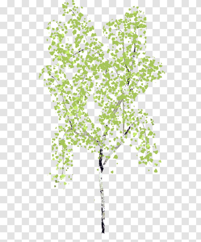 Twig Plant Stem Leaf Line Transparent PNG