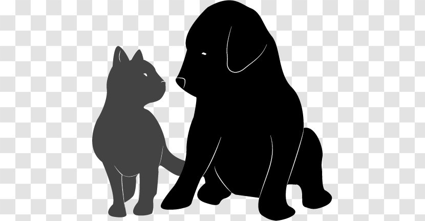 Whiskers Black Cat Puppy Dog - Petfinder Transparent PNG