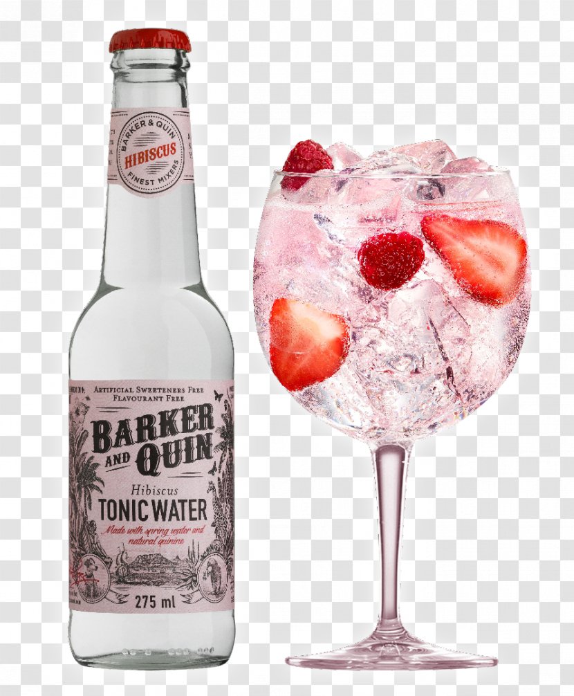 Tonic Water Gin And Elderflower Cordial Pink Drink Mixer - Lady - Cocktail Transparent PNG