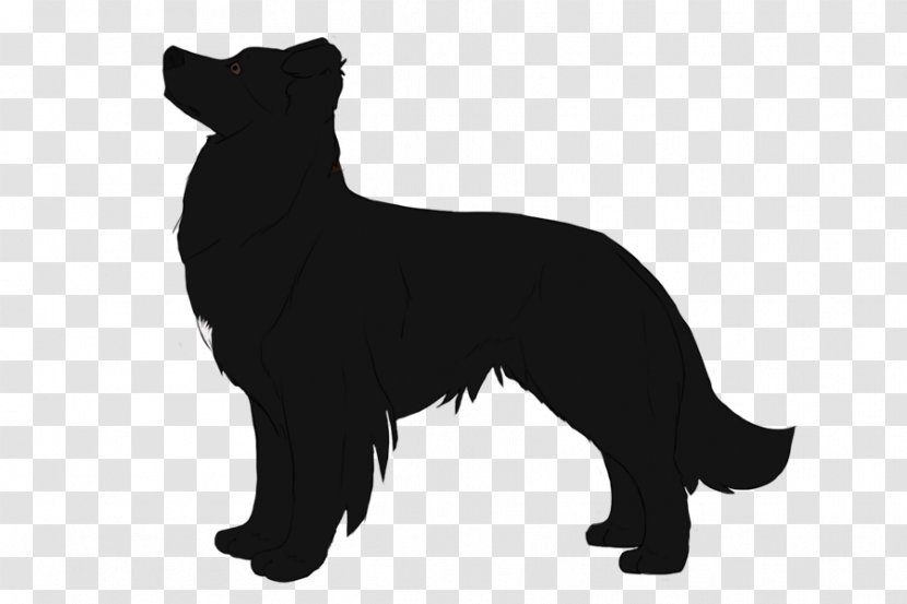 Schipperke Puppy Rally Obedience Dog Breed Training - Smitten Frame Transparent PNG