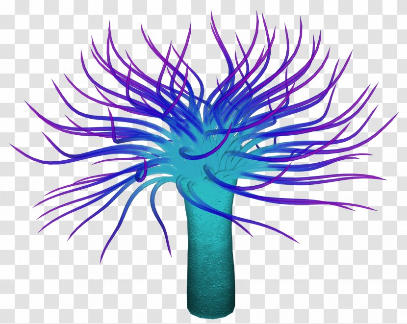 Sea Anemone Jellyfish Image Coral - Electric Blue - Flowering Plant Transparent PNG