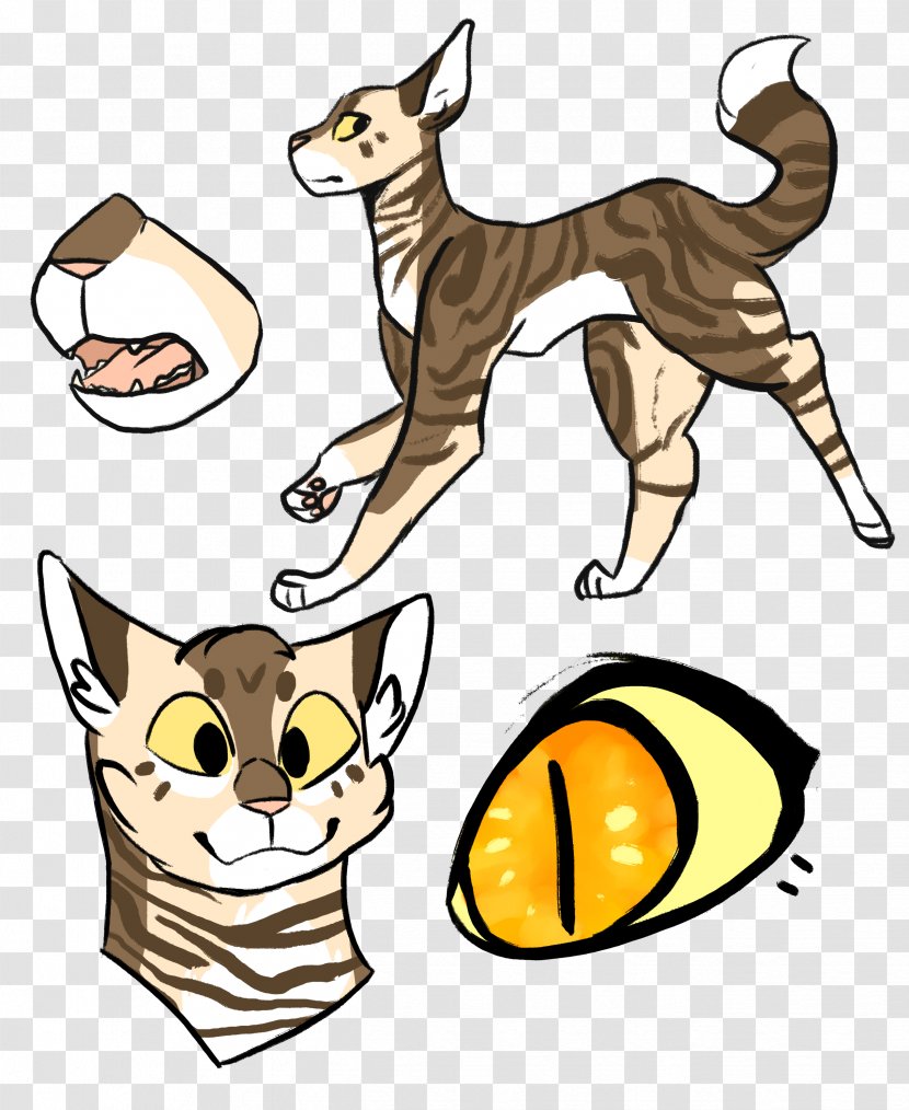 Whiskers Wildcat Clip Art - Carnivoran - Cat Transparent PNG