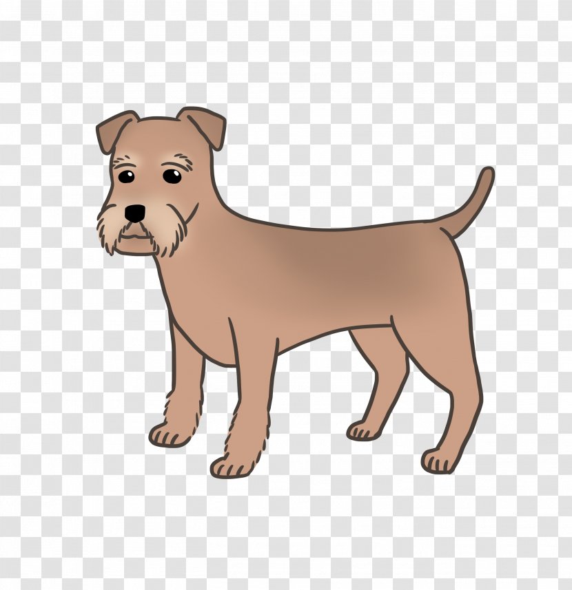 Dog Breed Irish Terrier American Pit Bull Rare (dog) - Bully - Puppy Transparent PNG