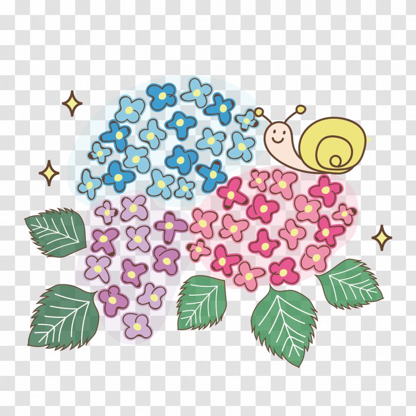 French Hydrangea East Asian Rainy Season Illustration Flower Design - Frame Transparent PNG