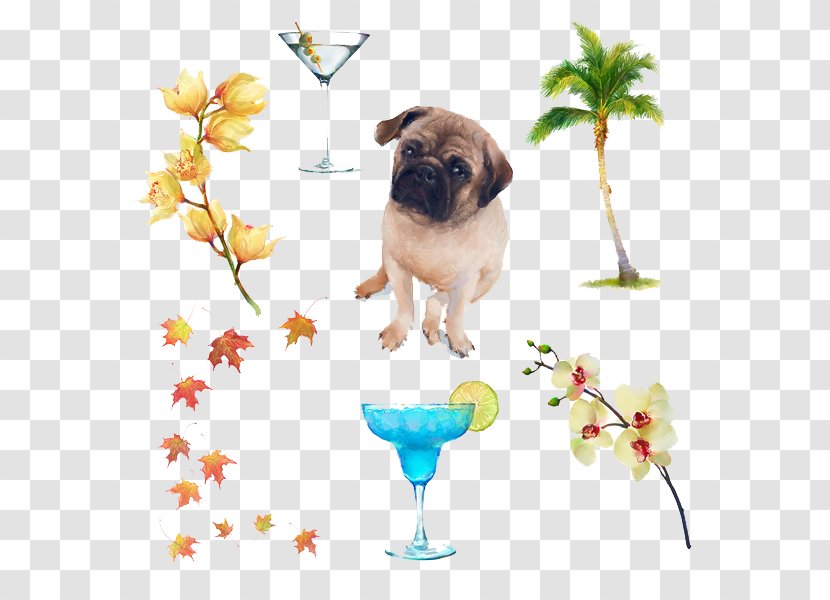 Puggle Puppy Dog Breed Companion - Simple Flower Illustration Transparent PNG