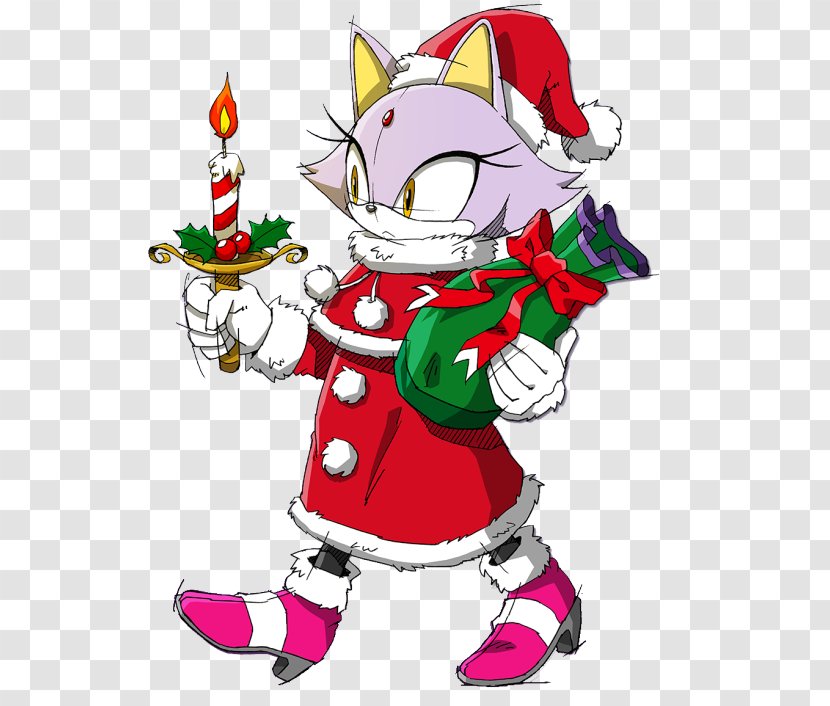 Sonic Rush Adventure Cat The Hedgehog - Santa Claus Transparent PNG