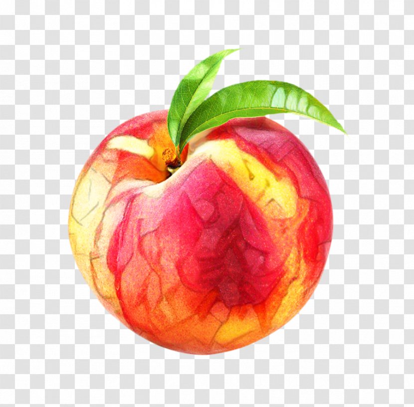 Peach Flower - Tree - Seedless Fruit Transparent PNG