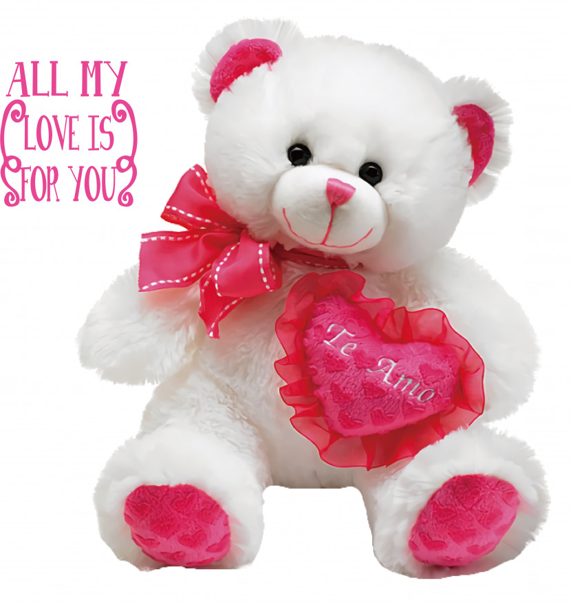 Teddy Bear Transparent PNG