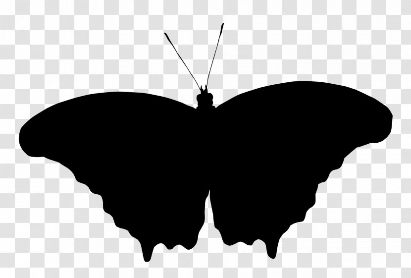 Brush-footed Butterflies Silhouette M. Butterfly Black M - Wing - Pollinator Transparent PNG