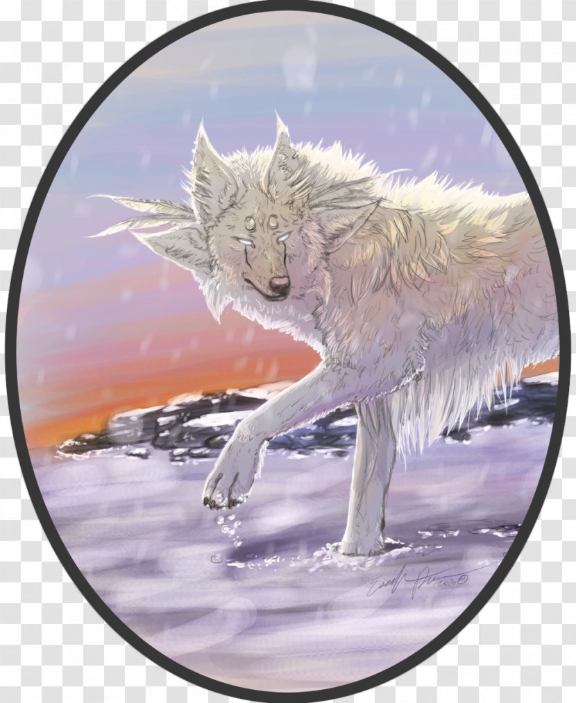 Coyote Fauna Wildlife Tail - Half Body Transparent PNG