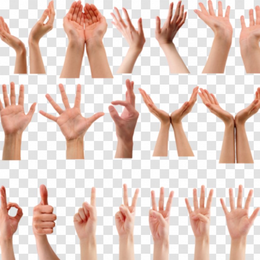 Gesture Fig Sign Nonverbal Communication Hand Language Transparent PNG