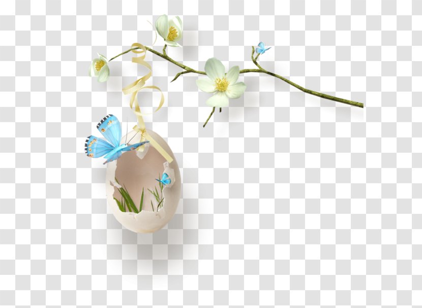 Easter Bunny Egg - Flower - Dry Land Transparent PNG