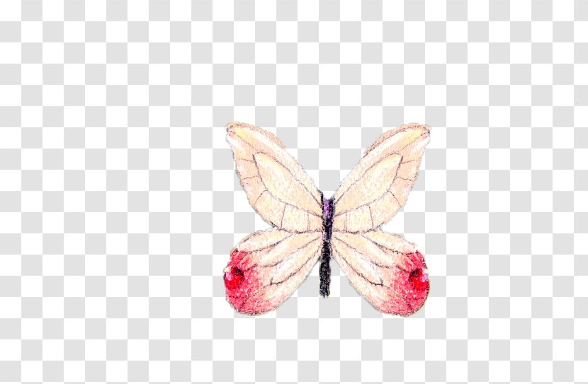 Butterfly Pattern - Moths And Butterflies Transparent PNG