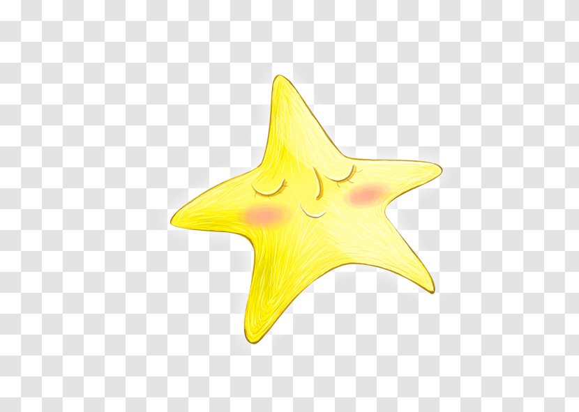 Starfish Yellow Euclidean Vector Icon - Search Engine Transparent PNG