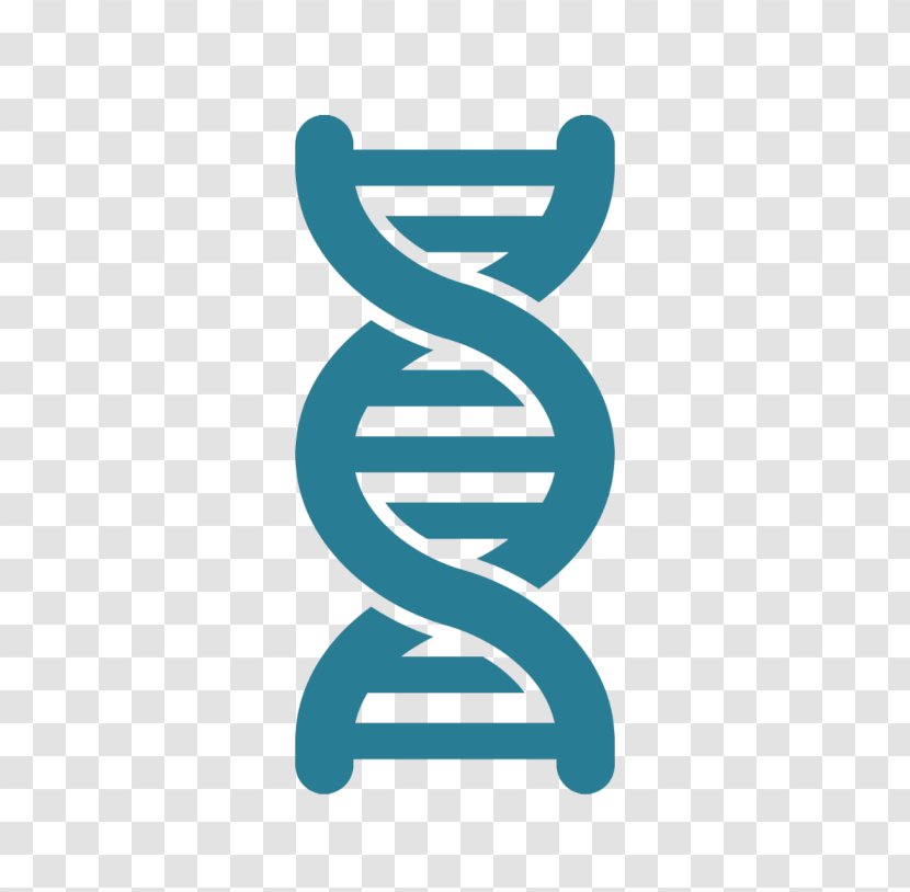 DNA Nucleic Acid Double Helix Vector Artificial Gene Synthesis - Dna Replication - Imprinted Transparent PNG