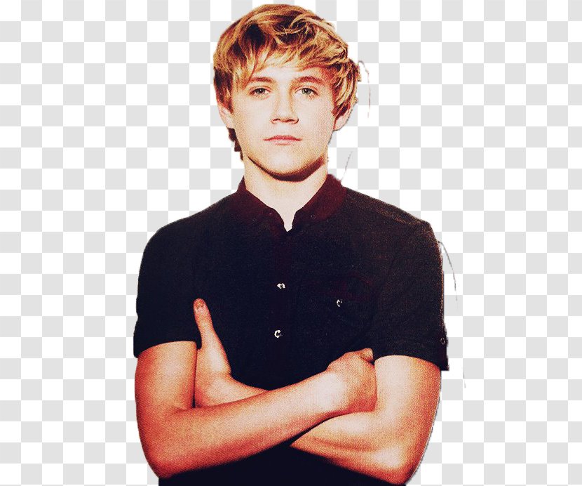 Niall Horan One Direction The X Factor Boy Band - Watercolor - Chili Block Transparent PNG
