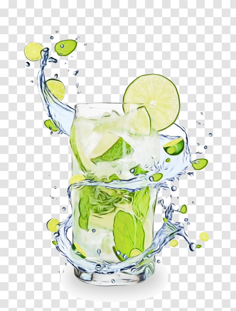 Water Drink Cocktail Garnish Lime Highball Glass - Alcoholic Beverage - Plant Limonana Transparent PNG