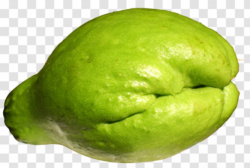 Chayote Melon Vegetable Gourd - Plant - Satay Transparent PNG