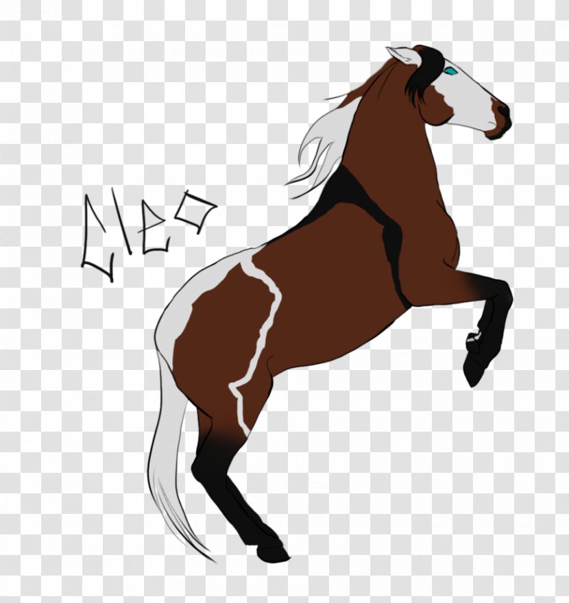 Mustang Stallion Pony Rein Mare - Vertebrate Transparent PNG