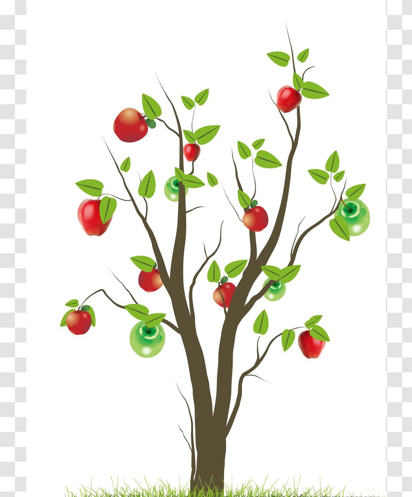 Fruit Tree - Cherry Transparent PNG