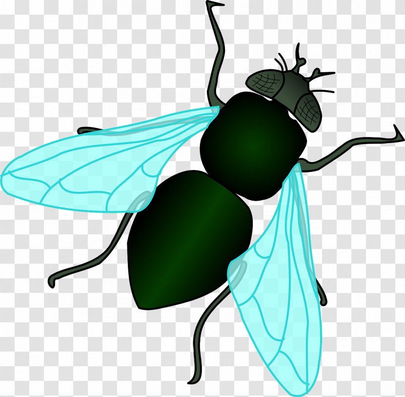 Housefly Insect Clip Art - Pest - Green Flies Transparent PNG