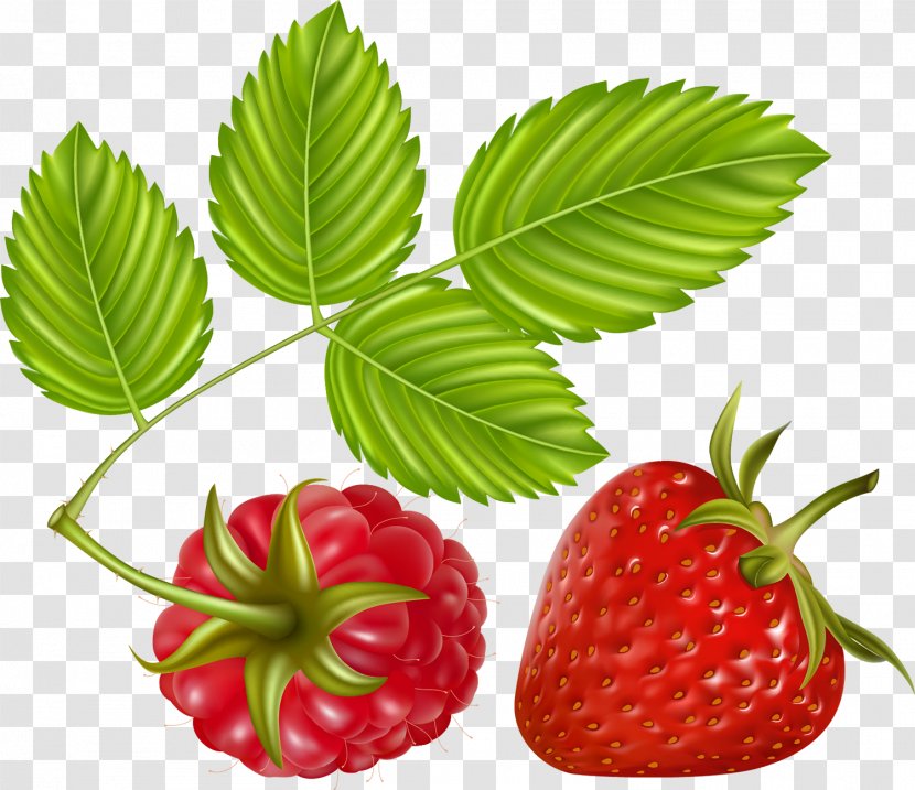 Raspberry Clip Art - Fruit Transparent PNG