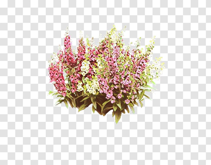 Flower Plant Flowering Cut Flowers Heather - Perennial Spirea Transparent PNG