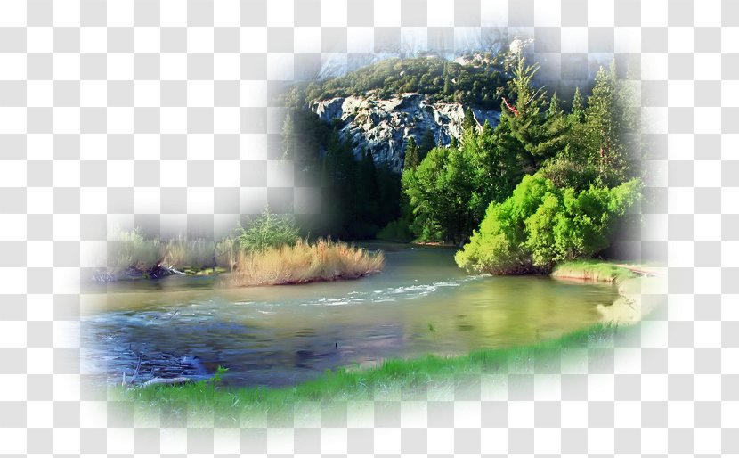 Water Resources Watercourse Landscape Tree Bank Transparent PNG