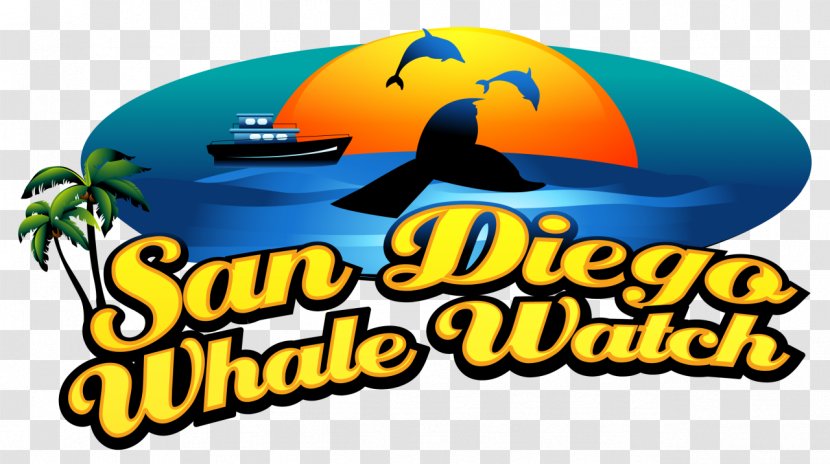 San Diego Whale Watch Watching Cetacea Things To Do In - Brand Transparent PNG