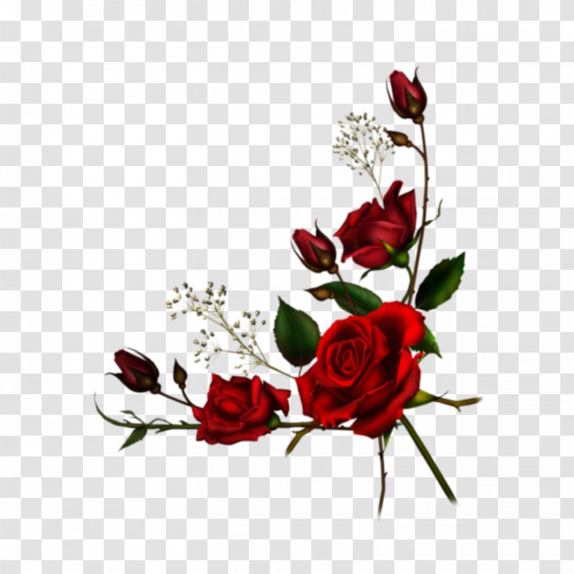 Rose Clip Art Flower Borders And Frames - Artificial - Black Border Image Transparent PNG