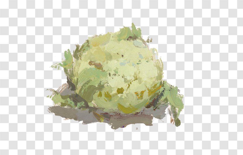 Color Chinese Cabbage Vegetable Gouache Painting - Still Life Transparent PNG