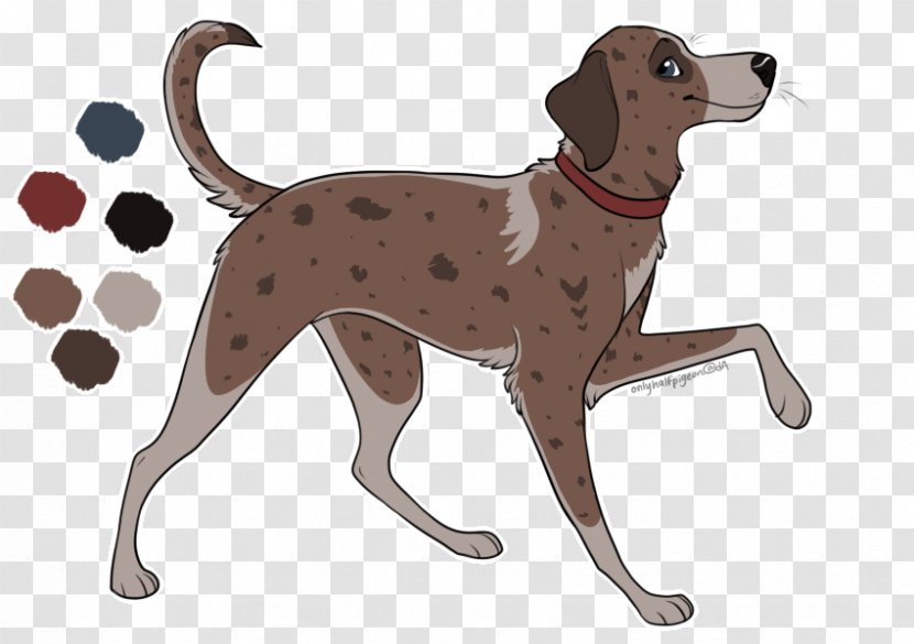 Puppy Dog Breed Leo Fitz Companion - Hunting Transparent PNG