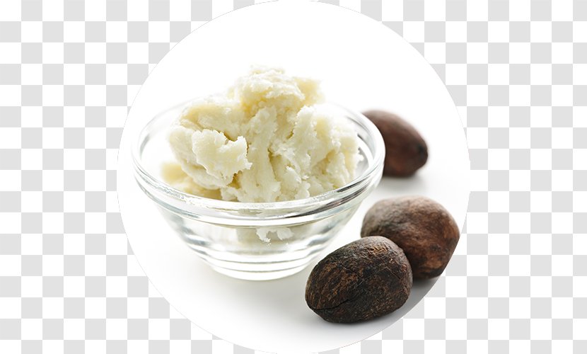 Lotion Shea Butter Cream Vitellaria - Moisturizer Transparent PNG