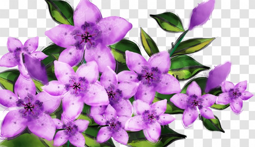 Takarazuka Revue Purple Poster Wallpaper - Violet - Bouquet Transparent PNG