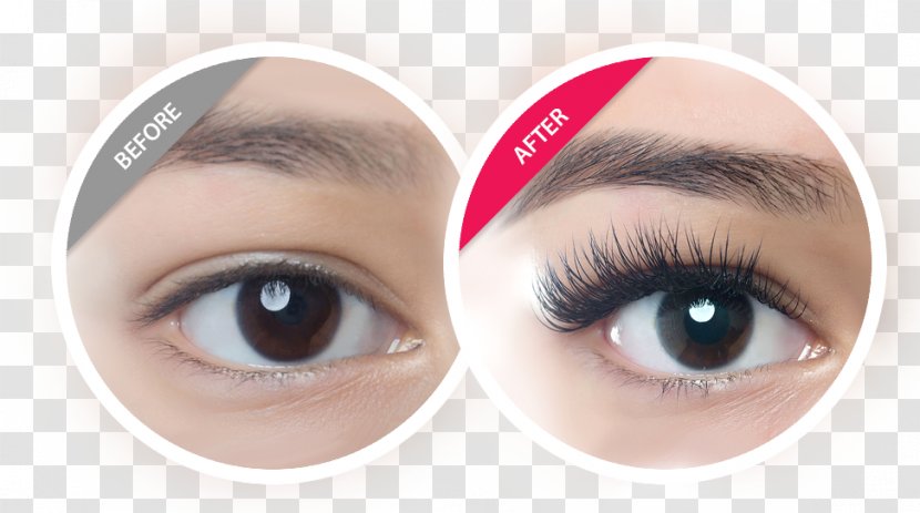 Amazing Lash Studio Redlands Beauty Parlour Eyelash Extensions - Eye Shadow Transparent PNG