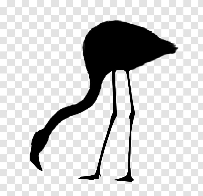Common Ostrich Bird Crane Beak Neck - Emu - Line Art Transparent PNG