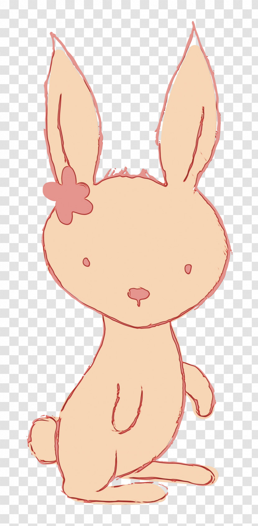 Cat Hares Kitten Black Cat Rabbit Transparent PNG