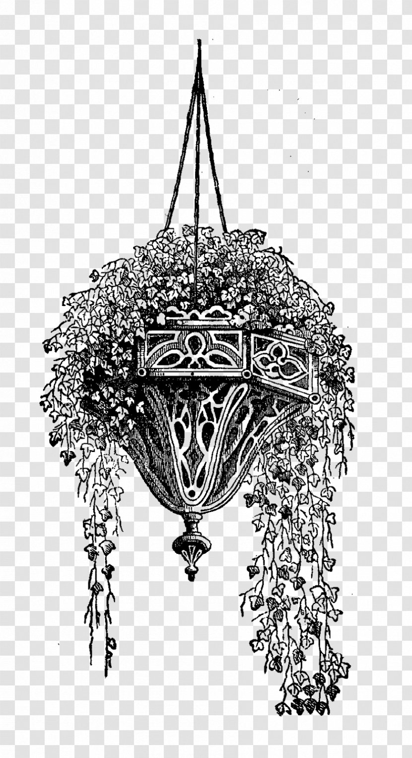 Drawing Hanging Basket Garden - Light Fixture - Flower Transparent PNG