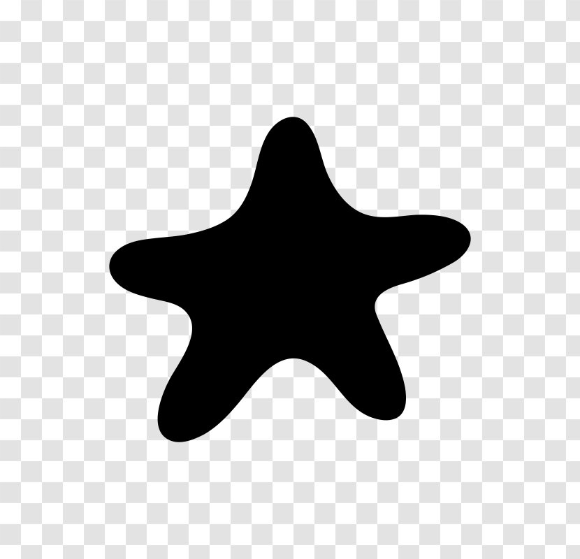 Sea - Starfish - Design Transparent PNG