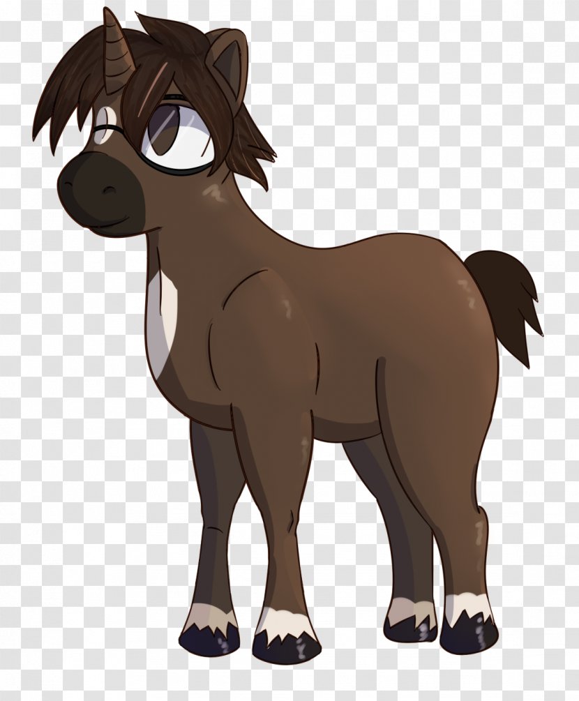 Mule Foal Mustang Stallion Mare - Horse Transparent PNG