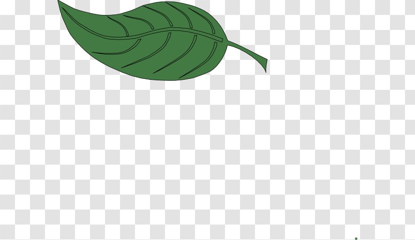 Leaf Green Plant Stem - Hawaii Transparent PNG