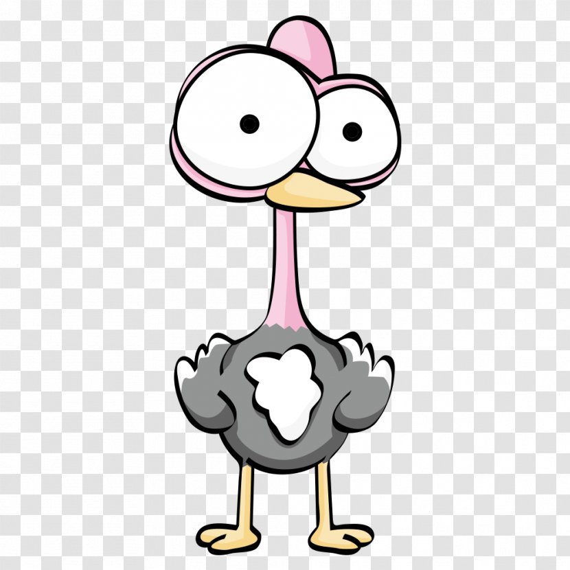Common Ostrich Cartoon Drawing - Illustration Transparent PNG